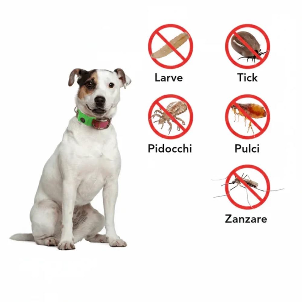 aquality Pets Collier antiparasitaire, Super Élastique, Adapté aux Chiens de Toutes Tailles, Anti - Puces et Tiques, sans Contact Direct avec La Peau