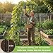 7Ft Garden Arch Trellis for Climbing Plants Outdoor, Heavy Duty Coated Metal Cucumber Trellis for Raised Beds, Tall Steel Gardening Arbor for Vegetables, Tomatoes, Grape, Bean (83’’ x 49’’ x 32’’)