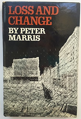 Loss and change view 2