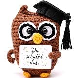 Kesote Glücksbringer Eule zur Prüfung Mutmacher Geschenk mit Positive Karte