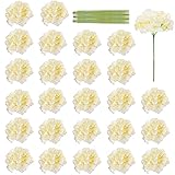 Worown 20 Pieces Champagne Hydrangea Silk Flowers, Hydrangea Artificial Flowers with Stems for...