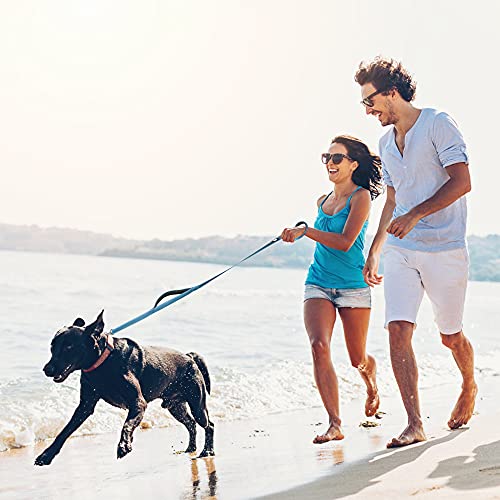 Fida 6 Ft Heavy Duty Dog Leash With 2 Comfortable Padded Handles, Traffic Handle & Advanced Easy Snap Hook, Reflective Walking Lead For Large, Medium & Small Breed Dogs, Blue #TOP5