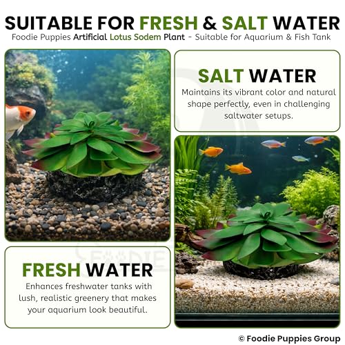 Image of Foodie Puppies Aquarium Plastic Plants with Resin Base Decor - (Lotus Sodem, Small, 6 x 12 x 4 cm) for Fish Tank Ornament Accessories, Household & Office Natural Looking Artificial Plant
