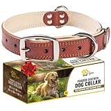 ADITYNA Heavy-Duty Big Leather Dog Collar for Extra-Large Dogs - Soft Padded for Comfort - XL Dog Collar for Walking, Training, and Hiking