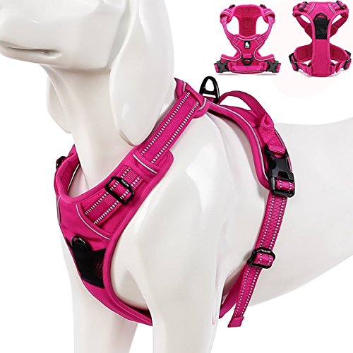 Kismaple Regolabile Imbracatura per medi grandi Cani, Corsa Passeggiate Imbottita 3M Riflettente Comoda Maglia Pettorina Cane (L (69-81cm), Rosa)