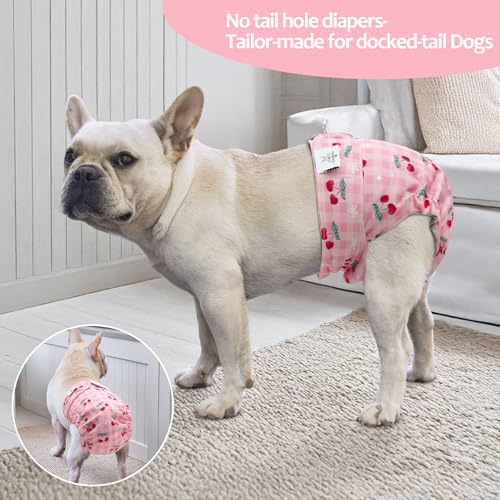 Image of CuteBone Washable Dog Diapers Female No Tail Hole 3 Pack Reusable Doggie Period Training Pants for Docked-Tail Frenchie French Bulldog Boston Terrier Without Tail WWD29XS