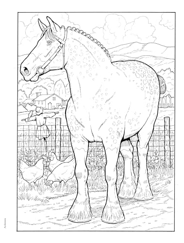 Adult Coloring Great Horses Coloring Book (Adult Coloring Books: Animals) - Image 6