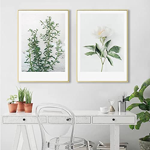 Plante minimaliste photos murales 60x80 cm sans cadre lot de 2