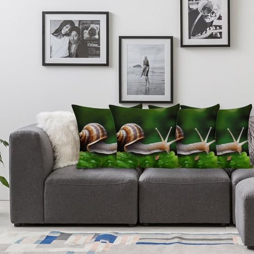 Housse de coussin escargot déhoussable pour un salon impeccable sans couture