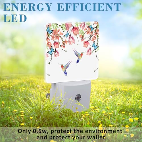 Image of Hummingbirds and Blue Butterflies Night Light Plug into Wall with Dusk to Dawn Sensor Cute Nightlight for Kid Girls Boys Women Men Room Decor, Hallway, Kitchen, Bathroom, Nursery, Stairs
