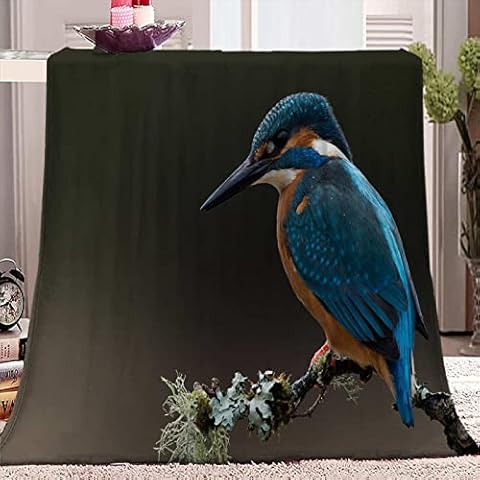 ZJFHNB Flannel Blanket 3D Printing kingfisher 51 x 59inch Blanket Soft Plush Bedding Couch Blanket Home Decor Office Nap Blanket Essential Supplies For School Cover