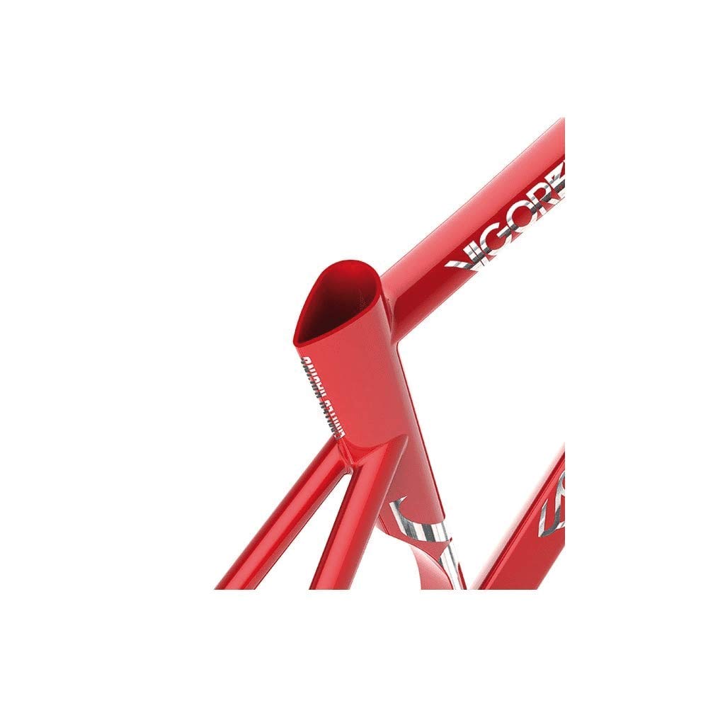 Cinelli Vigorelli Shark Track Frame-XL : Amazon.in: Sports