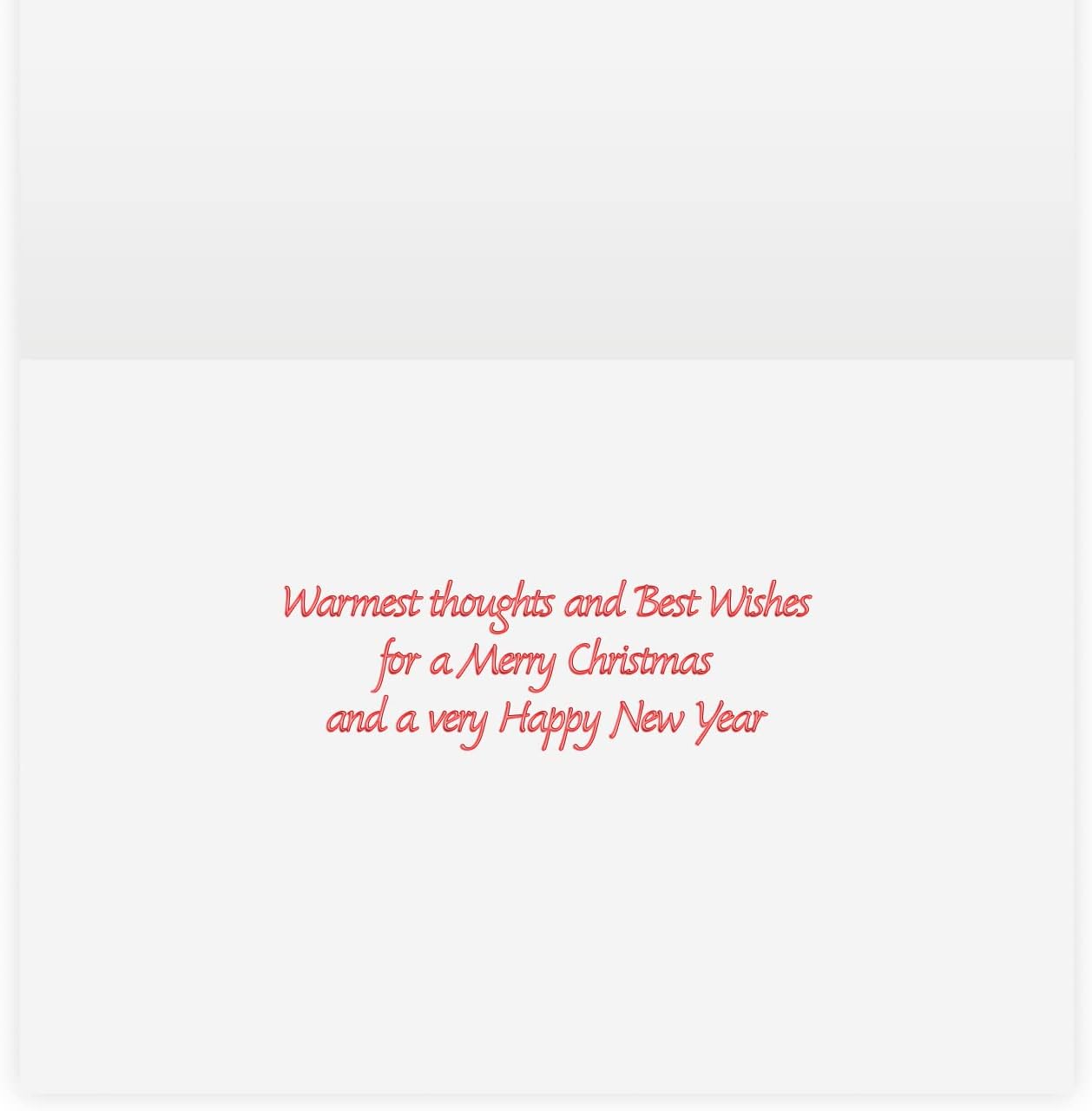 The Gallery Collection, 25 Count Card Pack, Christmas Cards with Foil Lined Envelopes (Christmas Frosted Delivery), For Business or Consumer