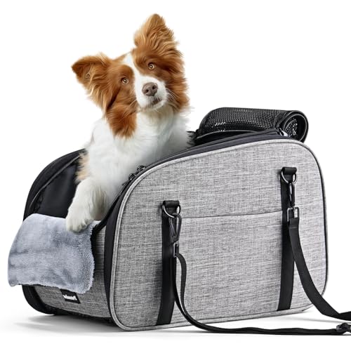 Petzauber Hundeautositz für Kleine Hunde – Hunde Autositz für Mittelkonsole, Tragbarer Hundesitz mit Doppeltem Sicherheitsgurt und Rutschfester Unterseite, Waschbarem Kissen, Lagerungstasche, Grau