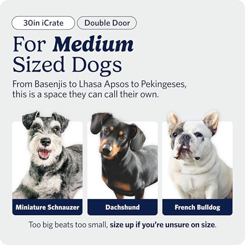 Image of MidWest Homes for Pets 30-Inch iCrate for Medium Breeds, 21-40 lbs, Double Door Folding Dog Crate with Divider Panel, Leak-Proof Tray & Secure Latches, Portable, Durable & Easy to Assemble