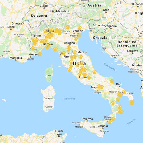 EquoTube Soggiorno responsabile quattro zampe