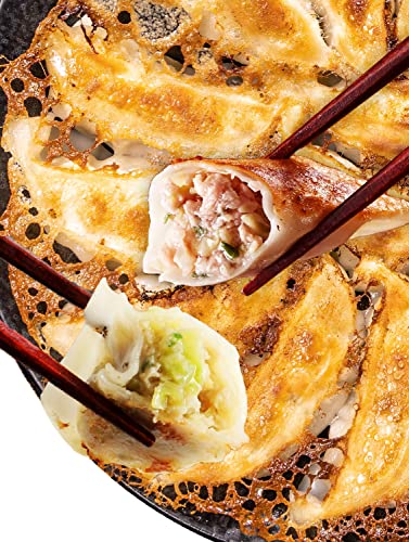 一龍堂 冷凍生餃子 100個セット