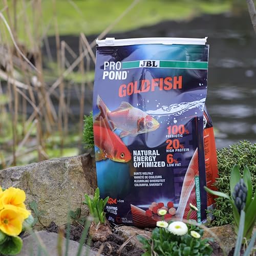JBL PROPOND Goldfish 0,4kg (3 L) | Ganzjahresfutter Perlen für Goldfische & Schleierschwänze | Fördert Gesundheit & kräftige Farben | Artgerechte Ernährung | Schwimmend | ab 10 °C