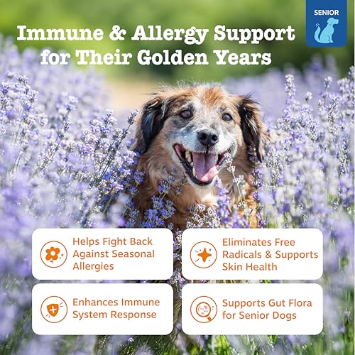 Image of Zesty Paws Senior Dog Allergy Chews - Dog Allergy Relief, Salmon, 90 Ct