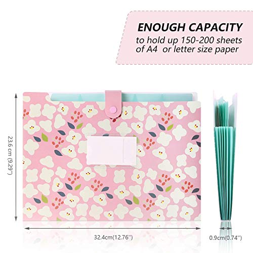 Image of Corslet Expanding File Folder for Documents A4 Size Certificates Organizer with 5 Pockets for School and Office (Pack of 3), Multicolor