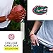 Lokai University of Florida UF Gators, SIlicone Bead Bracelet for Men and Women, Small, 6 Inch