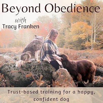 Beyond Obedience | Dog Training, Dog Behaviour Training, Scared Dogs, Reactive Dogs