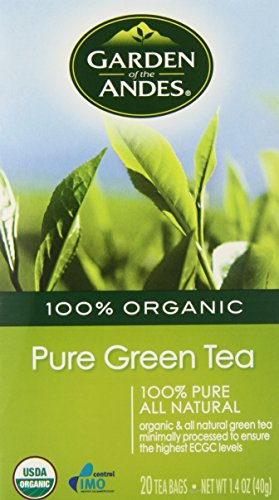 Bags, 0.9 Oz, 20 Tea Bagcount (pack Of 6 Boxes)