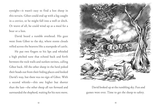 Young David: Shepherd - Image 4