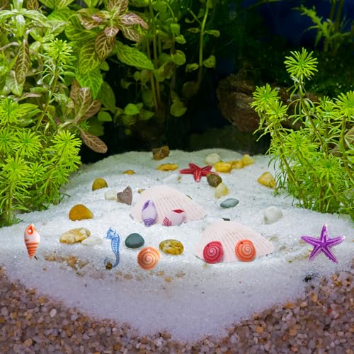 Conchas de playa para rellenar jarrones decorativos y fondos de acuario Tendycoco 48 piezas 4