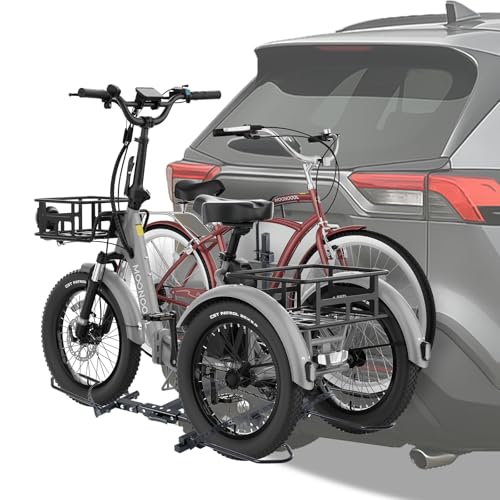 ABORON Dual-Capacity Foldable Rack