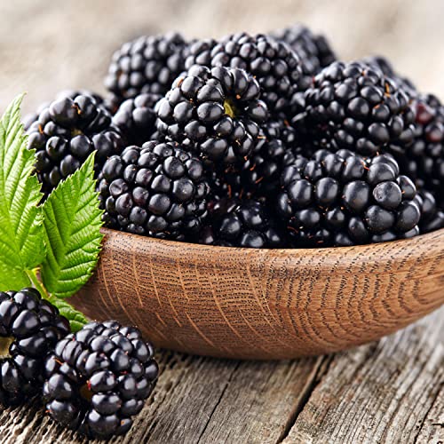 Blackberry UAE 125g