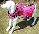Haoyueer Service Hunderucksack, abnehmbare Satteltaschen mit Label-Patches, Größe M für einen Umfang von 50,8–61 cm, Hot Pink