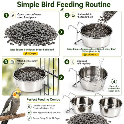 Image of Sage Square Bird Feeding Combo | Sunflower Seeds Bird Food 500gm + Stainless Steel Cage Feeder Bowl 250ml Set of 2 | Food, Seed, Water Serving Bowl for Parrot, Macaw, Cockatoo, Exotic Birds
