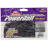 Berkley(バークレー) ワーム パワーベイト マックスセント クリッターホッグ 4インチ ジュンバグ PBMSCRH4-JB