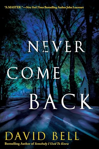 Never Come Back view 2