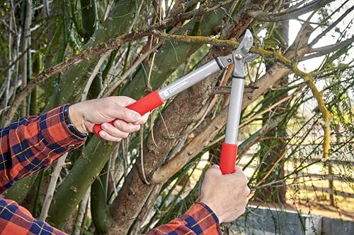 Corona BP 3225D Forged Steel ClassicCUT Bypass Hand Pruner - 3/4 inch Cut Capacity Stem and Branch Garden Shears, Red - Thumbnail 4