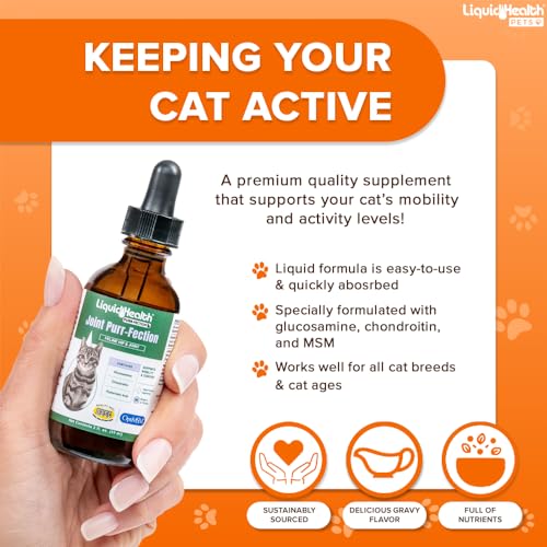 Liquidhealth 765462900021 2.3 Oz Liquid Cat Glucosamine Joint Purr-Fection - Hip And Joint Support thumb #2