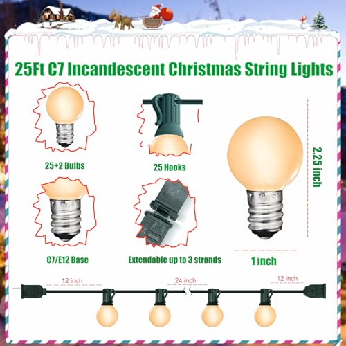 Guía de focos vintage 23 Imagen adicional