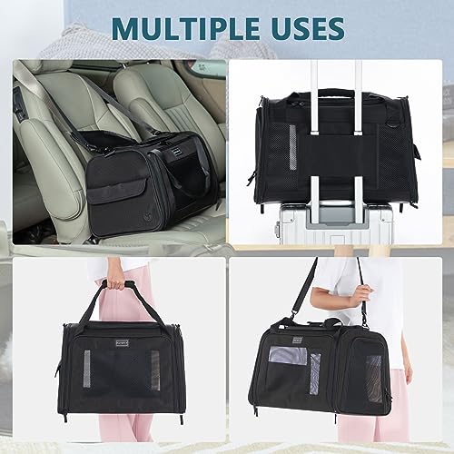 Petsfit Transportbox Katze Hund faltbar Transporttasche Hundetasche für Katzen Hunde, Hochwertige Tragetasche Hund Katze mit Schultergurt und weiches expandierbare Kissen, groß