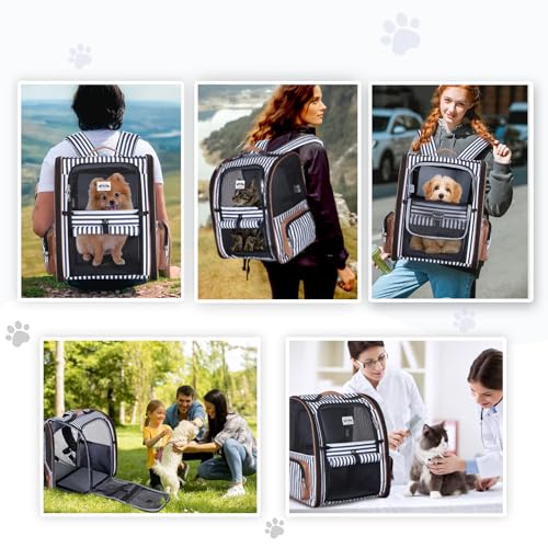 Lekespring Katzen Rucksack Hunderucksack für Große Katzen Hunde bis 12kg, Erweiterbar Faltbare Haustier Rucksack mit Innerer Sicherheitsleine und Haustiermatte, Schlieren -XL