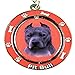 E&S Pets Blue Pit Bull Spinning Double Sided Key Chain, KC-26b