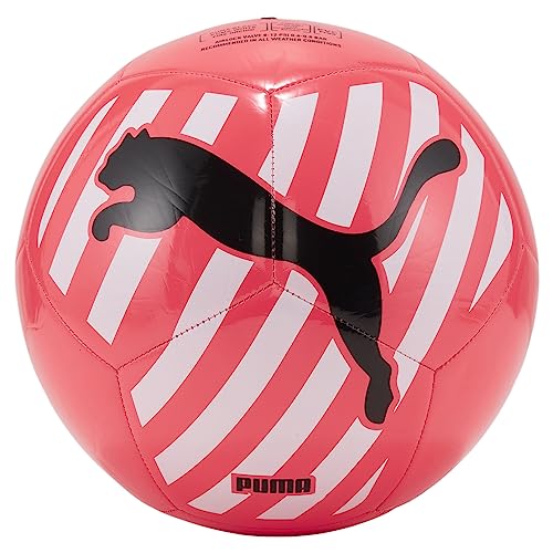PUMA Big Cat Ball