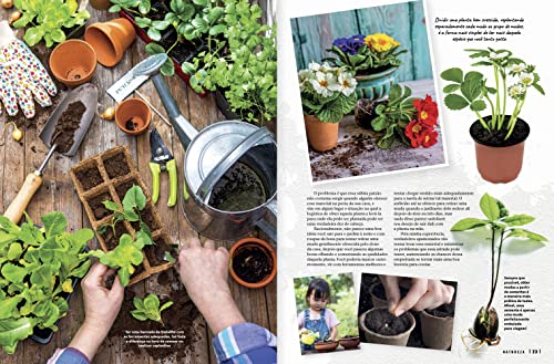 Revista Natureza 411