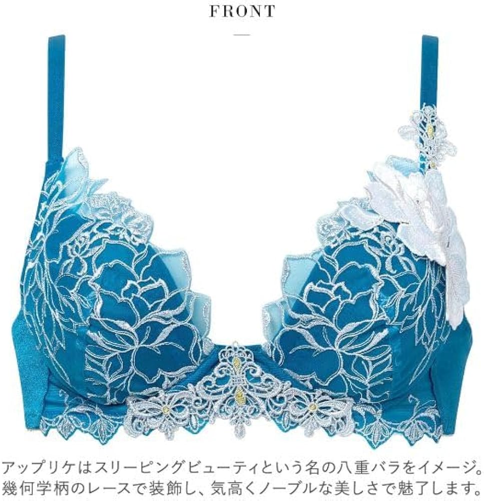 ワコール/サルート 17G D70 ワコール サルート 17グループ 17G VIVA LINE ブラジャー DEF