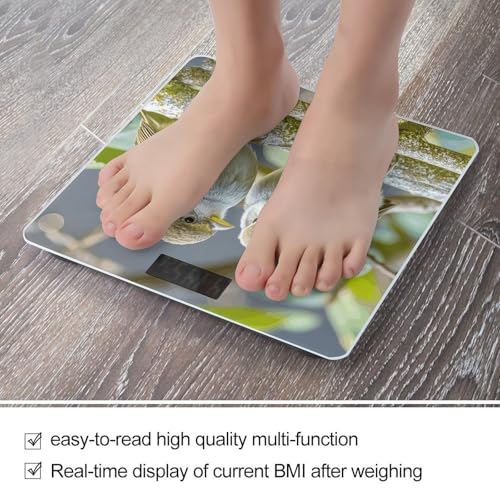 Báscula digital de baño Kiwi Birds Cute para hasta 400 lb miniatura 5