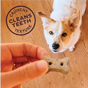 Old Mother Hubbard by Wellness Mother's Solutions Hip & Joint Natural Dog Treats, Crunchy Oven-Baked Biscuits, Ideal for Training, 20 ounce bag Old Mother Hubbard by Wellness Mother’s Solutions Hip & Joint Natural Dog Treats, Crunchy Oven-Baked Biscuits, Ideal for Training, 20 ounce bag
