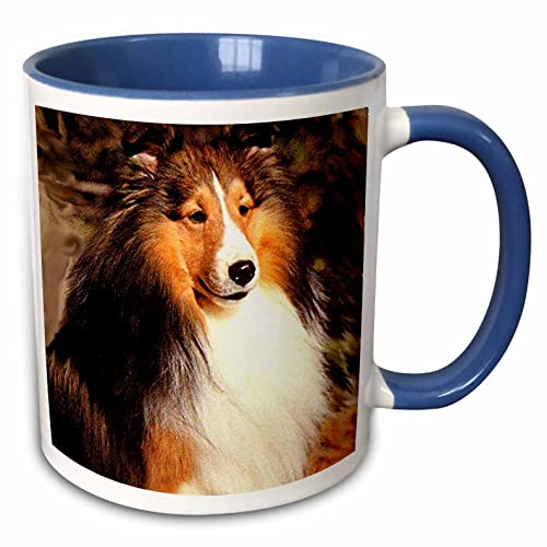 3dRose Sable Border Collie Dogs Collies 11oz Two-Tone Blue Mug