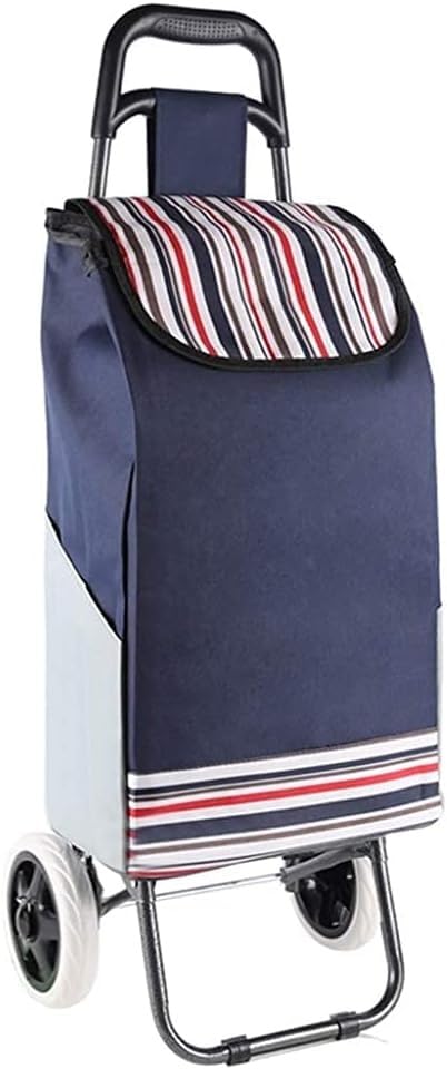 Carro de compras plegable ligero de hierro DUANZEYUQA con tela impermeable y capacidad de 35L