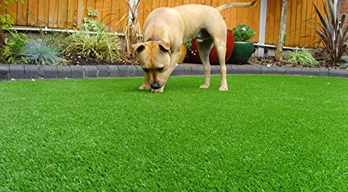 New 15' Foot Roll Artificial Grass Turf Synthetic Fescue Pet Sale! Many Sizes! (98.5oz 15' x 35' = 525 Sq feet) - Thumbnail 7