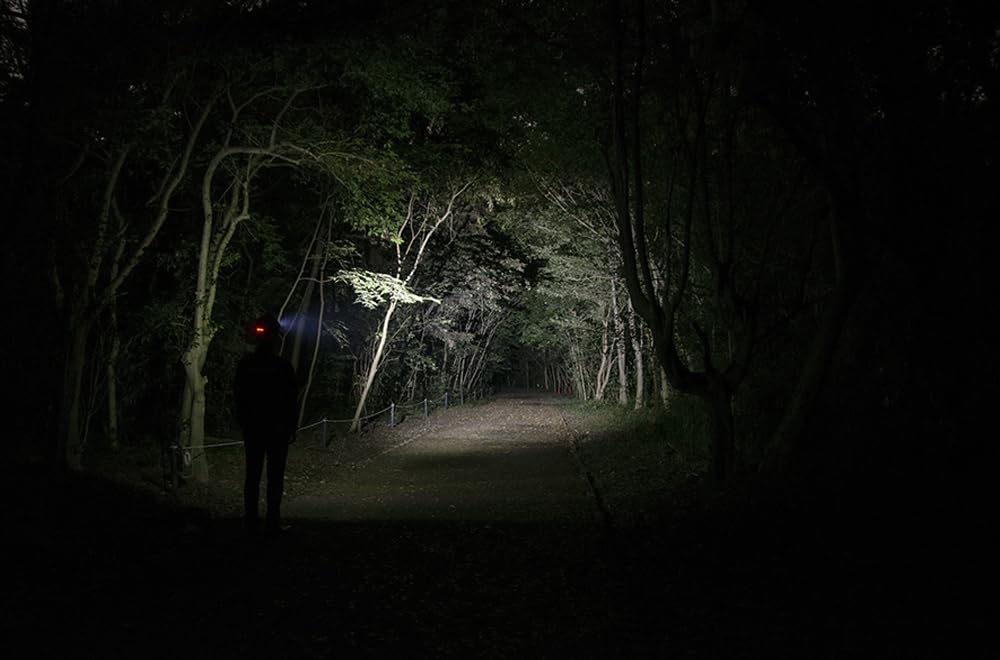 Amazon | GENTOS(ジェントス) LED ヘッドライト 【明るさ550ルーメン